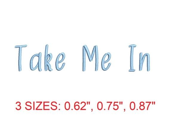 Take Me in Embroidery Font: A Designer’s Review for Business Branding
